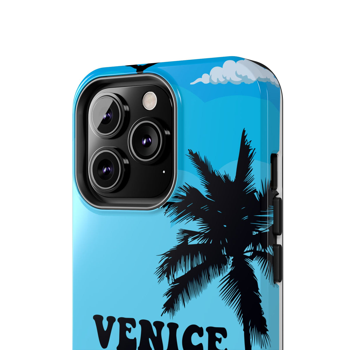 Venice Florida Beach Surf Summer Palm Sunset Case