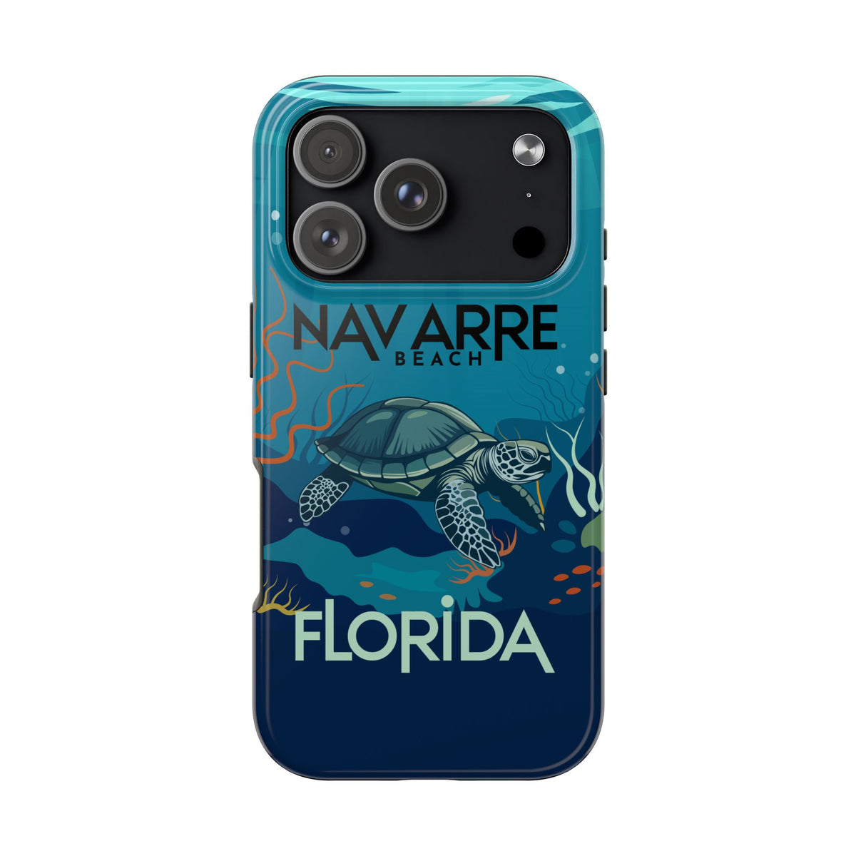 Navarre Beach Florida Sea Turtle Underwater Case